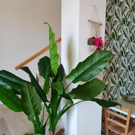 Aloha Πανσιόν *